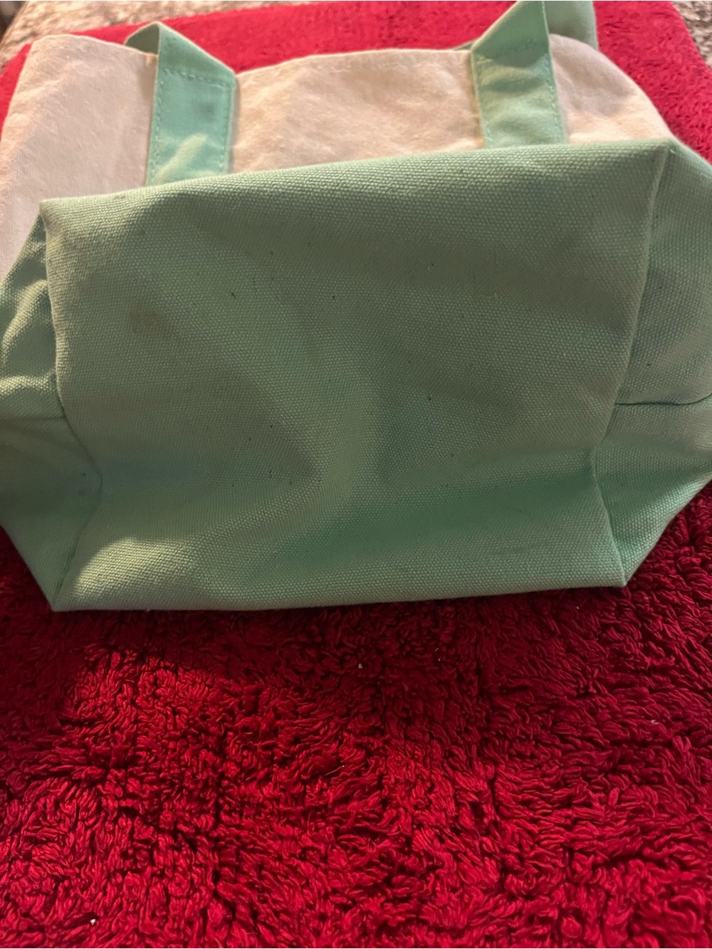 Trader Joe’s Mini Canvas Tote/Lunch Bag Pastel Mint Green Natural Reusable 13” - Picture 8 of 10